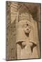 Statue of Queen Nefertari, Sun Temple, Abu Simbel, Egypt, North Africa, Africa-Richard Maschmeyer-Mounted Photographic Print