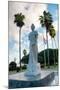 Statue of Queen Wilhelmina in Oranjestad, Aruba with the Dutch Flag Standing in a Square Surrounded-PlusONE-Mounted Photographic Print