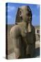 Statue of Ramesses II, Great Temple of Amun, Tanis, Egypt-null-Stretched Canvas