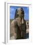 Statue of Ramesses II, Great Temple of Amun, Tanis, Egypt-null-Framed Giclee Print