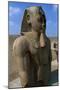 Statue of Ramesses II, Great Temple of Amun, Tanis, Egypt-null-Mounted Giclee Print