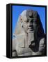 Statue of Ramses II, Great Temple of Amun, Tanis, Egypt-null-Framed Stretched Canvas