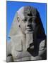 Statue of Ramses II, Great Temple of Amun, Tanis, Egypt-null-Mounted Giclee Print