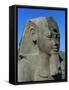 Statue of Ramses II, Great Temple of Amun, Tanis, Egypt-null-Framed Stretched Canvas