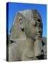 Statue of Ramses II, Great Temple of Amun, Tanis, Egypt-null-Stretched Canvas