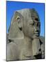 Statue of Ramses II, Great Temple of Amun, Tanis, Egypt-null-Mounted Giclee Print