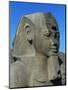 Statue of Ramses II, Great Temple of Amun, Tanis, Egypt-null-Mounted Giclee Print