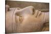 Statue of Ramses II, Memphis (capital of Ancient Egypt), Nr. Cairo, Egypt-Jon Arnold-Stretched Canvas