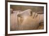 Statue of Ramses II, Memphis (capital of Ancient Egypt), Nr. Cairo, Egypt-Jon Arnold-Framed Photographic Print