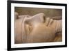 Statue of Ramses II, Memphis (capital of Ancient Egypt), Nr. Cairo, Egypt-Jon Arnold-Framed Photographic Print