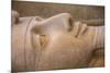 Statue of Ramses II, Memphis (capital of Ancient Egypt), Nr. Cairo, Egypt-Jon Arnold-Mounted Photographic Print