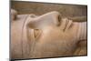 Statue of Ramses II, Memphis (capital of Ancient Egypt), Nr. Cairo, Egypt-Jon Arnold-Mounted Premium Photographic Print