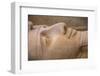 Statue of Ramses II, Memphis (capital of Ancient Egypt), Nr. Cairo, Egypt-Jon Arnold-Framed Photographic Print