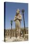 Statue of Ramses Ii with His Daughter Benta-Anta-Richard Maschmeyer-Stretched Canvas