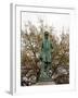 Statue Of Rear Admiral Raphael Semmes, Mobile, Alabama-Carol Highsmith-Framed Art Print