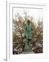 Statue Of Rear Admiral Raphael Semmes, Mobile, Alabama-Carol Highsmith-Framed Art Print