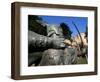 Statue of Robin Hood, Nottingham, Nottinghamshire, England, United Kingdom-Neale Clarke-Framed Photographic Print