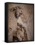 Statue of Saint John the Baptist, Leon, Spain-Walter Bibikow-Framed Stretched Canvas