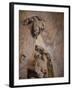 Statue of Saint John the Baptist, Leon, Spain-Walter Bibikow-Framed Photographic Print