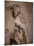 Statue of Saint John the Baptist, Leon, Spain-Walter Bibikow-Mounted Photographic Print