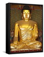 Statue of Sakyamuni Buddha in Main Hall of Jogyesa Temple-Pascal Deloche-Framed Stretched Canvas