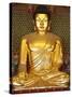 Statue of Sakyamuni Buddha in Main Hall of Jogyesa Temple-Pascal Deloche-Stretched Canvas