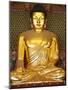 Statue of Sakyamuni Buddha in Main Hall of Jogyesa Temple-Pascal Deloche-Mounted Photographic Print