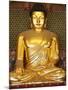 Statue of Sakyamuni Buddha in Main Hall of Jogyesa Temple-Pascal Deloche-Mounted Photographic Print