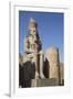 Statue of Seated Ramses Ii, Court of Ramses Ii, Luxor Temple-Richard Maschmeyer-Framed Photographic Print