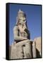 Statue of Seated Ramses Ii, Court of Ramses Ii, Luxor Temple-Richard Maschmeyer-Framed Stretched Canvas