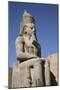 Statue of Seated Ramses Ii, Court of Ramses Ii, Luxor Temple-Richard Maschmeyer-Mounted Photographic Print