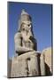 Statue of Seated Ramses Ii, Court of Ramses Ii, Luxor Temple-Richard Maschmeyer-Mounted Photographic Print