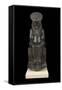 Statue of Sekhmet, Goddess with the Head of a Lioness-null-Framed Stretched Canvas