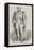 Statue of Sir Charles Metcalfe-null-Framed Stretched Canvas