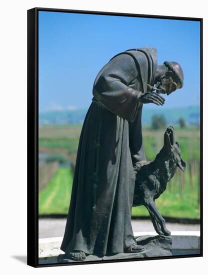 Statue of St. Francis of Assisi at the Viansa Winery, Sonoma County, California, USA-John Alves-Framed Stretched Canvas