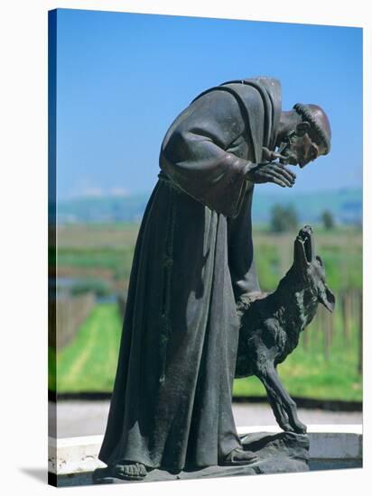 Statue of St. Francis of Assisi at the Viansa Winery, Sonoma County, California, USA-John Alves-Stretched Canvas