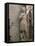 Statue of St. Joan of Arc, Dol Cathedral, Dol De Bretagne, Brittany, France, Europe-Nick Servian-Framed Stretched Canvas