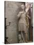 Statue of St. Joan of Arc, Dol Cathedral, Dol De Bretagne, Brittany, France, Europe-Nick Servian-Stretched Canvas