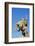 Statue of Svatopluk, Ruler of Moravia 869, Bratislava Castle, Bratislava, Slovakia, Europe-Christian Kober-Framed Photographic Print