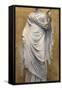 Statue of Terpsichore, Muse of Dances-null-Framed Stretched Canvas