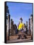 Statue of the Buddha with Religious Offerings, Wat Mahathat, Sukothai, Thailand-Adina Tovy-Framed Stretched Canvas