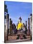 Statue of the Buddha with Religious Offerings, Wat Mahathat, Sukothai, Thailand-Adina Tovy-Stretched Canvas