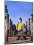 Statue of the Buddha with Religious Offerings, Wat Mahathat, Sukothai, Thailand-Adina Tovy-Mounted Photographic Print