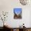 Statue of the Buddha with Religious Offerings, Wat Mahathat, Sukothai, Thailand-Adina Tovy-Photographic Print displayed on a wall