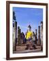 Statue of the Buddha with Religious Offerings, Wat Mahathat, Sukothai, Thailand-Adina Tovy-Framed Photographic Print
