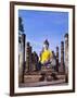 Statue of the Buddha with Religious Offerings, Wat Mahathat, Sukothai, Thailand-Adina Tovy-Framed Photographic Print