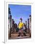 Statue of the Buddha with Religious Offerings, Wat Mahathat, Sukothai, Thailand-Adina Tovy-Framed Photographic Print