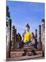 Statue of the Buddha with Religious Offerings, Wat Mahathat, Sukothai, Thailand-Adina Tovy-Mounted Photographic Print