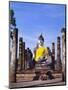 Statue of the Buddha with Religious Offerings, Wat Mahathat, Sukothai, Thailand-Adina Tovy-Mounted Photographic Print