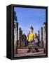 Statue of the Buddha with Religious Offerings, Wat Mahathat, Sukothai, Thailand-Adina Tovy-Framed Stretched Canvas